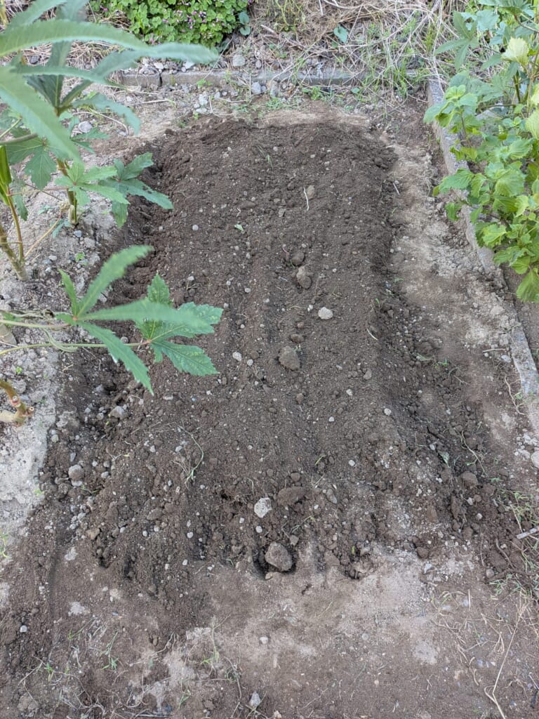 肥料を入れて耕し、ならした畑。黒くふかふかした状態