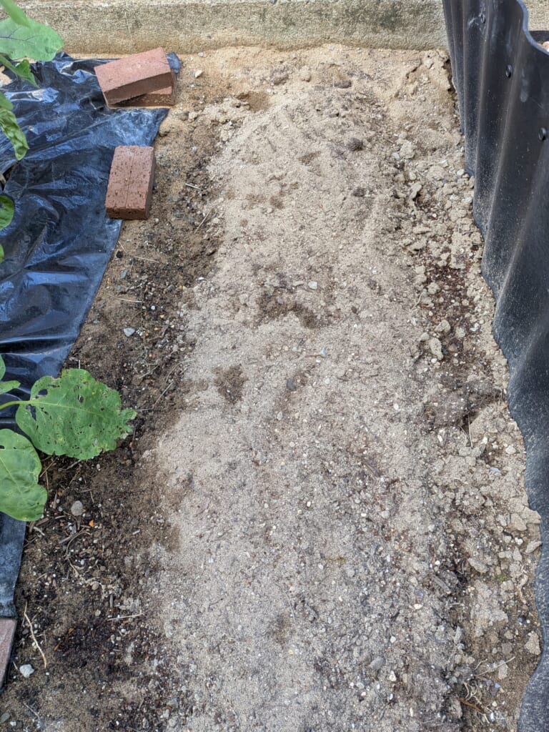 植える前の状態の畑